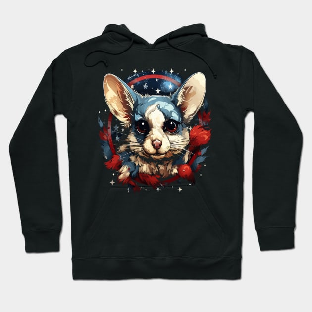 Patriotic Sugar Glider Hoodie by JH Mart